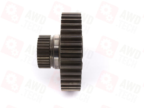 Piñón (dimensión 1,25