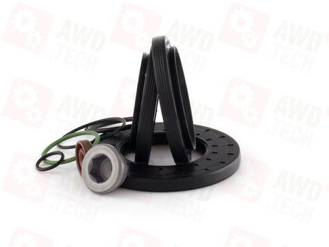 Dichtungssatz (für Maserati ATC)