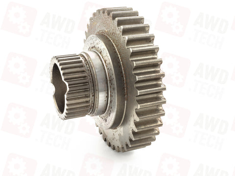 Piñón (dimensión 1