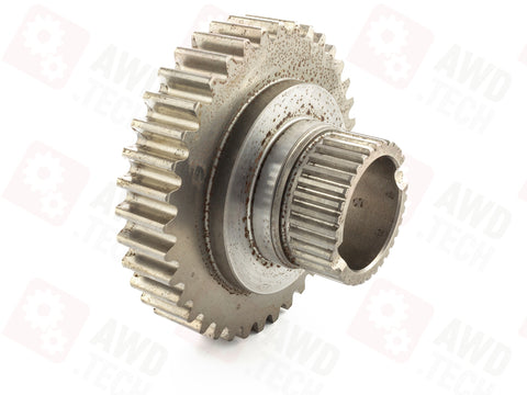 Piñón (dimensión 1