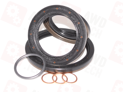 Dichtungssatz (für LX/SEC)