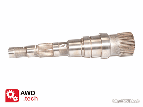  Hauptwelle (für DCS)