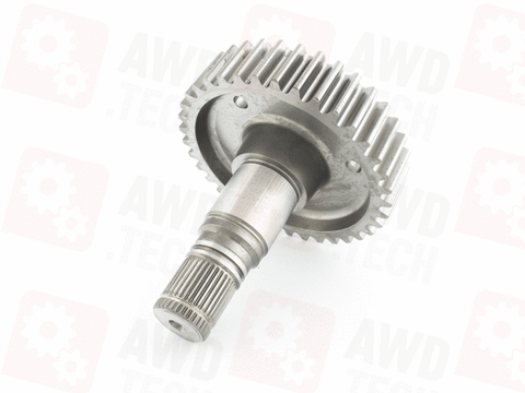  Ritzel Ausgang (Abmessung 1,25