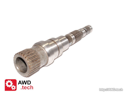  Hauptwelle (für DCS)